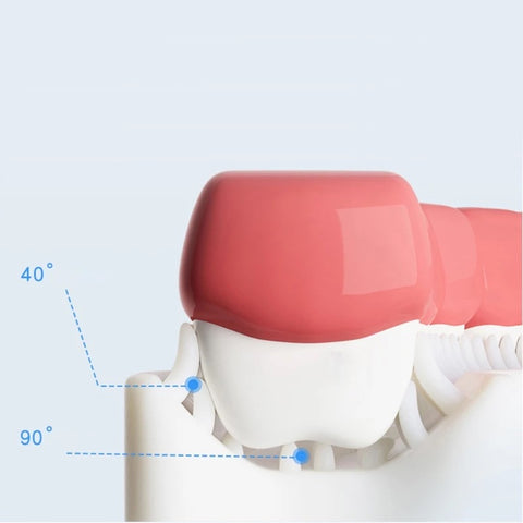 Derkalix™  - Cepillo Dental 360° para Niños